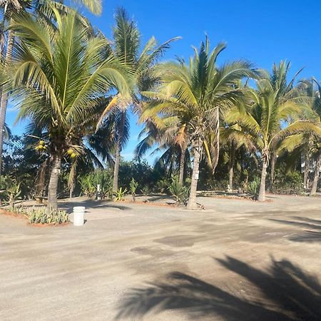 Bungalows Laguna Del Tule San Patricio Melaque Luaran gambar
